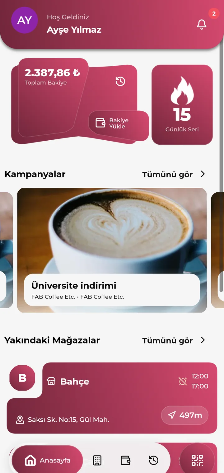 Ana ekranda bakiye kartı